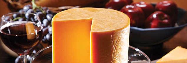 Cheddar Cheese